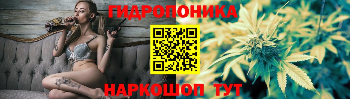 Гагарин  Бошки марихуана сатива  Вход с VPN  Каннабис White Widow  Шишки марихуана VHQ 